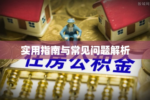 来凤实用指南与常见问题解析