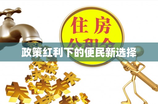 来凤政策红利下的便民新选择